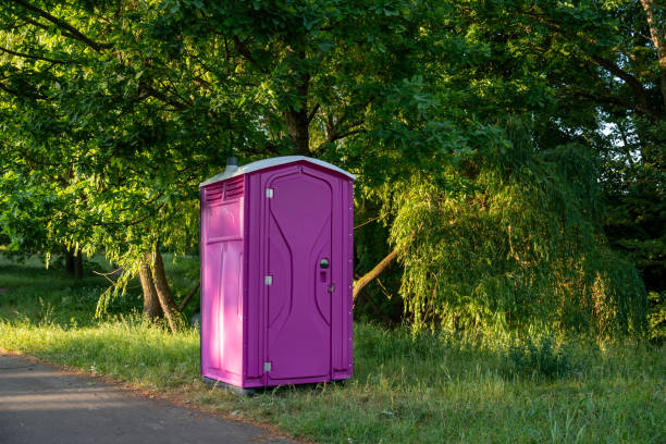 Best Portable restroom trailer rental  in Hector, MN